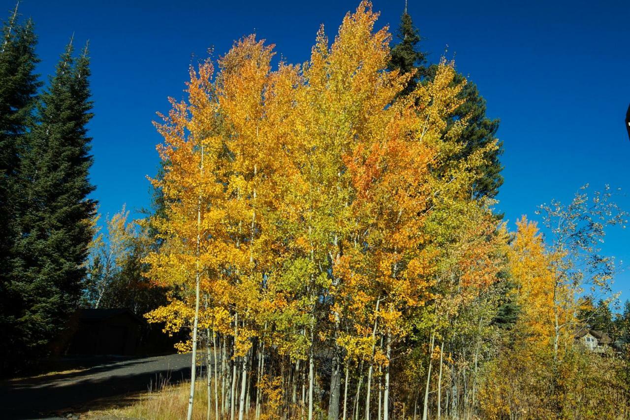 Aspen Village Golf Course Condo - Snowshoes McCall Exterior foto